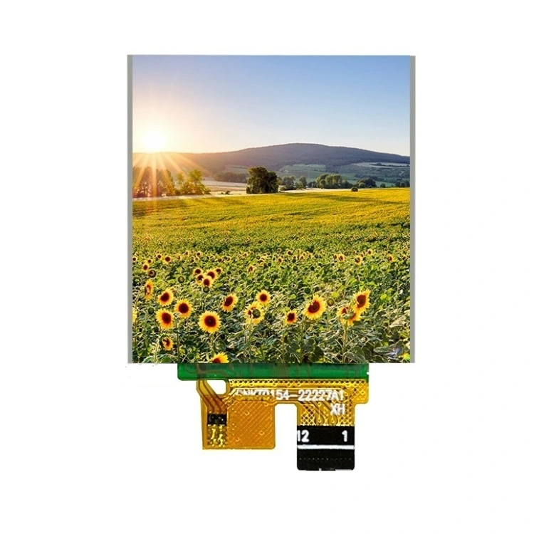 1.54 düymlük TFT LCD ekran