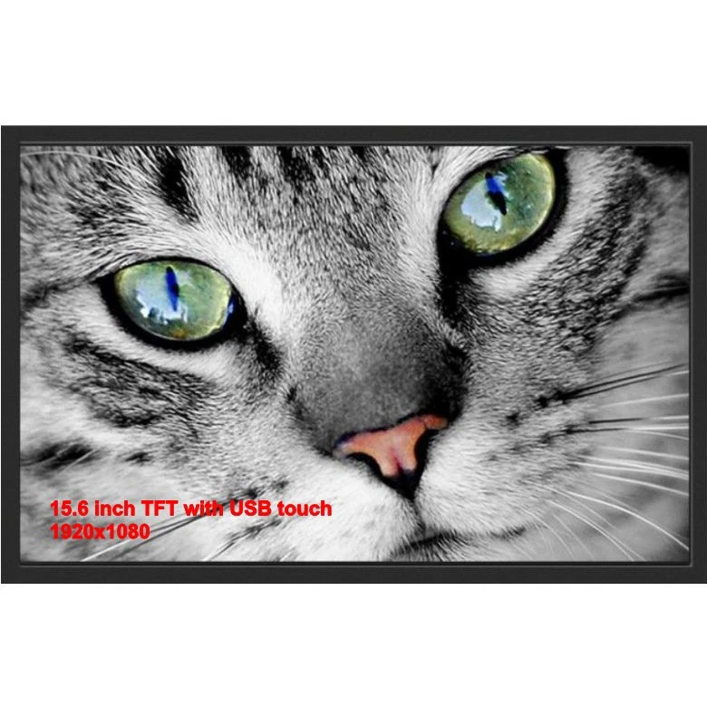 USB touch monitoru ilə 15,6 düymlük TFT