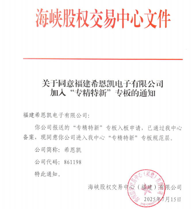 CNK Electronics, 