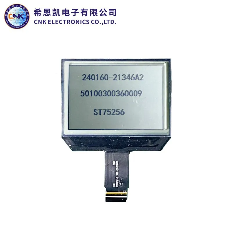 Qrafik monoxrom LCD ekran